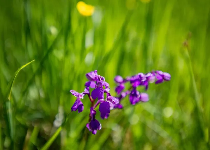 Le Tourel Feriehus Saint-Cernin-de-lʼHerm